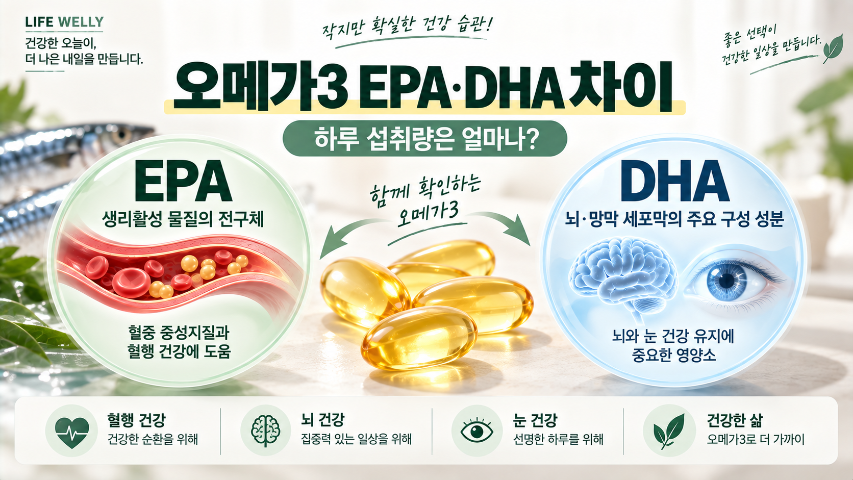 오메가3 하루 섭취량과 EPA DHA 차이를 설명한 LIFE WELLY 건강정보