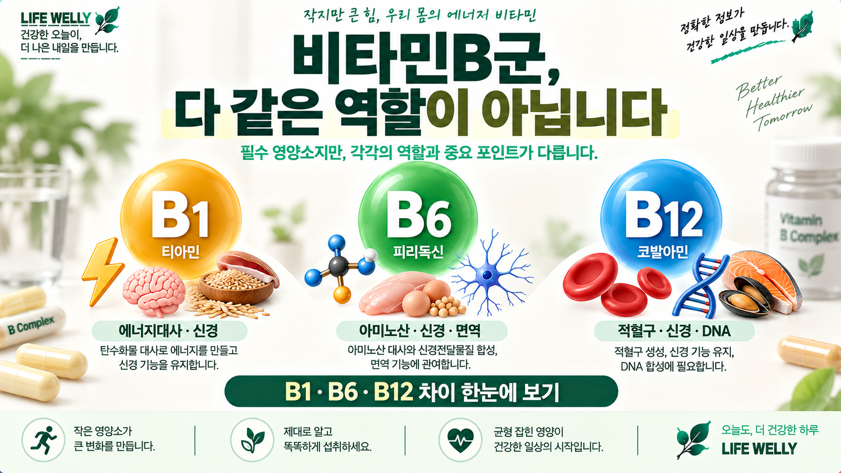 비타민B군 종류와 역할 B1 티아민 B6 피리독신 B12 코발라민 차이