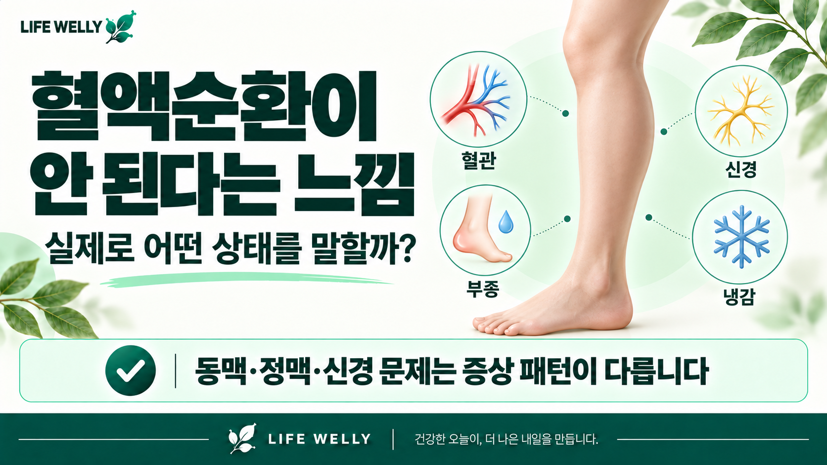 혈액순환이 안 된다는 느낌과 혈관 신경 부종 냉감의 다양한 원인
