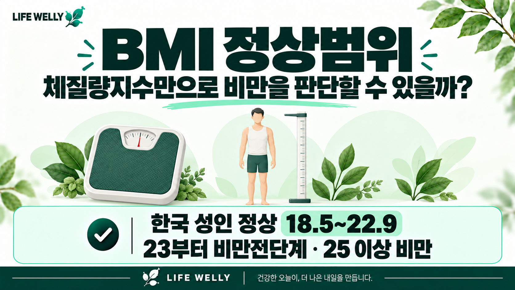 BMI 정상범위와 한국 성인 정상 18.5에서 22.9 비만전단계 23 이상 비만 25 이상 기준