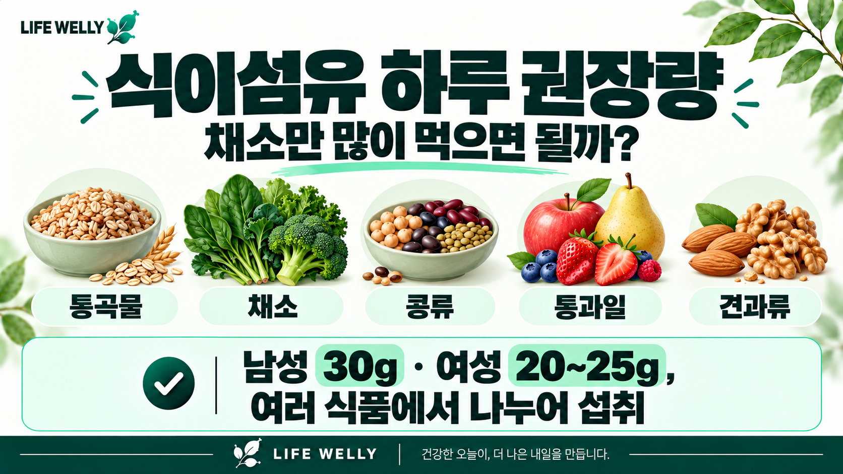 식이섬유 하루 권장량과 통곡물 채소 콩류 통과일 견과류 등 주요 식이섬유 공급원