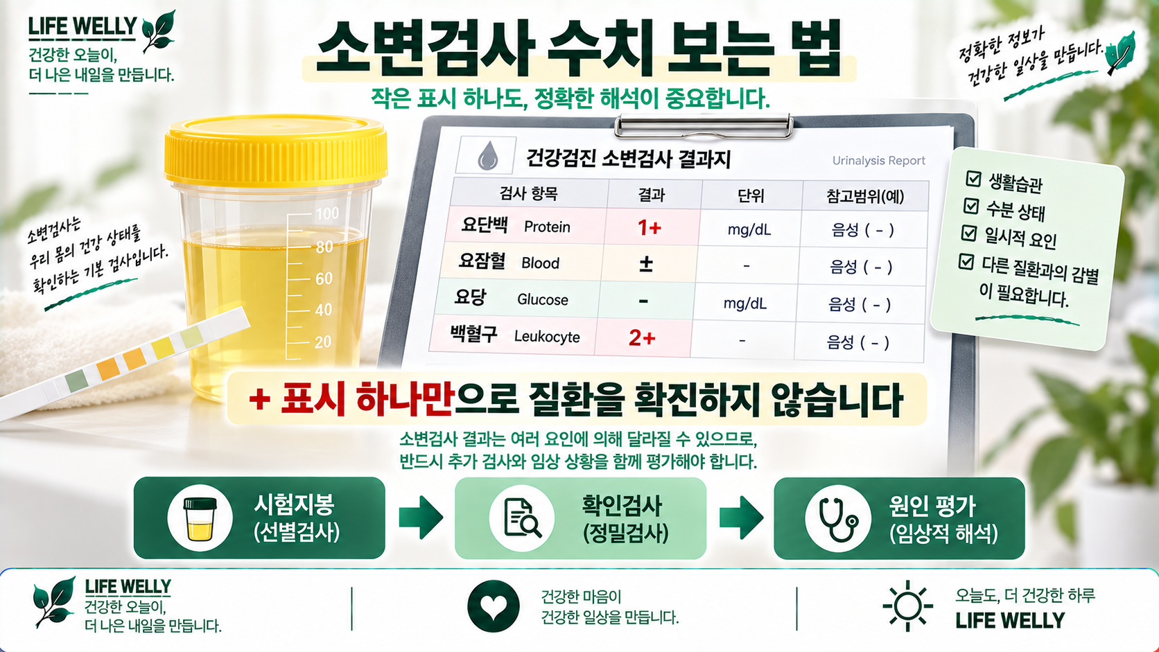 소변검사 수치 보는 법과 요단백·요잠혈·요당·백혈구 결과 해석