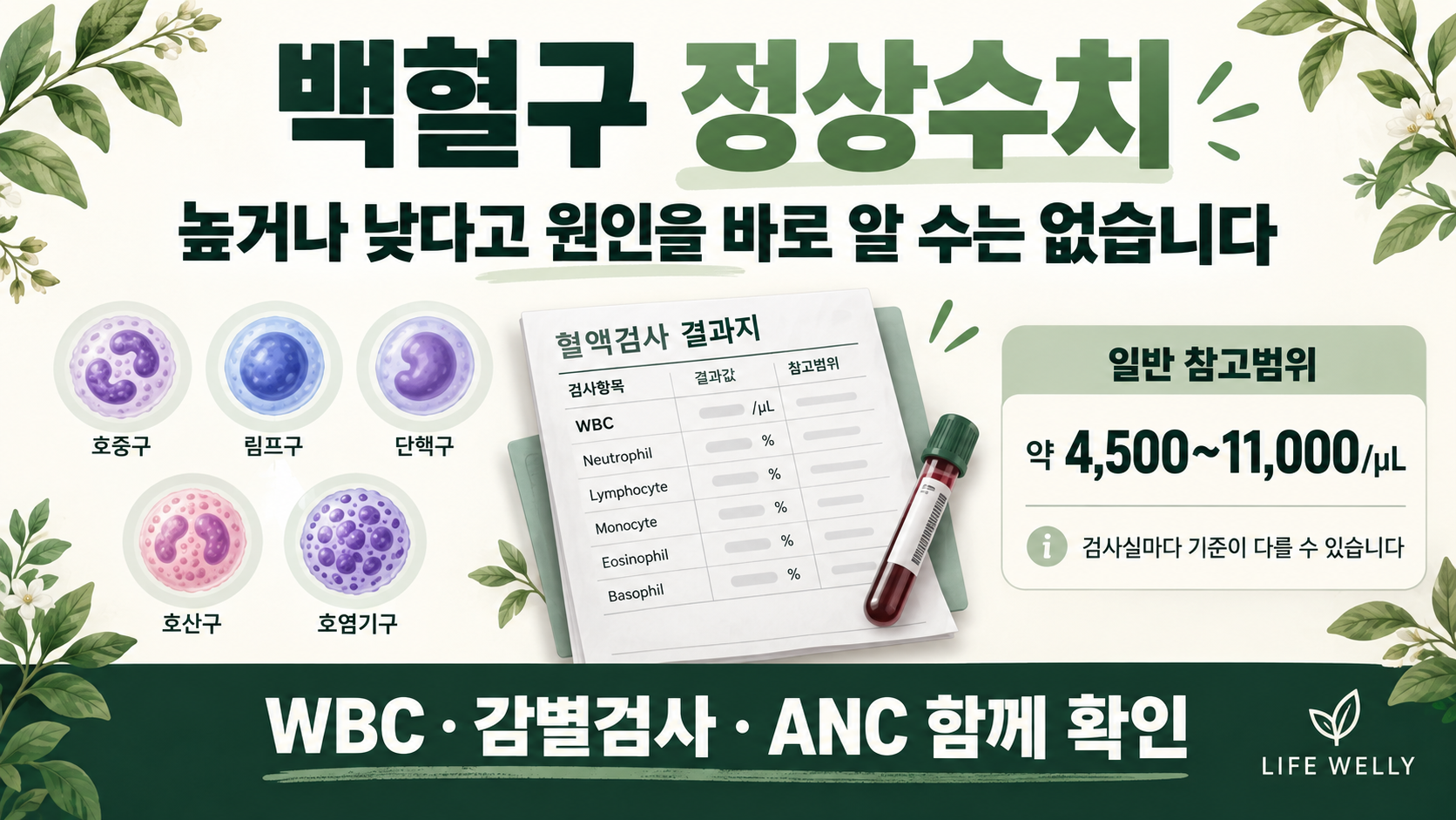 백혈구 정상수치 WBC 일반 참고범위 4500에서 11000 감별검사 ANC 확인