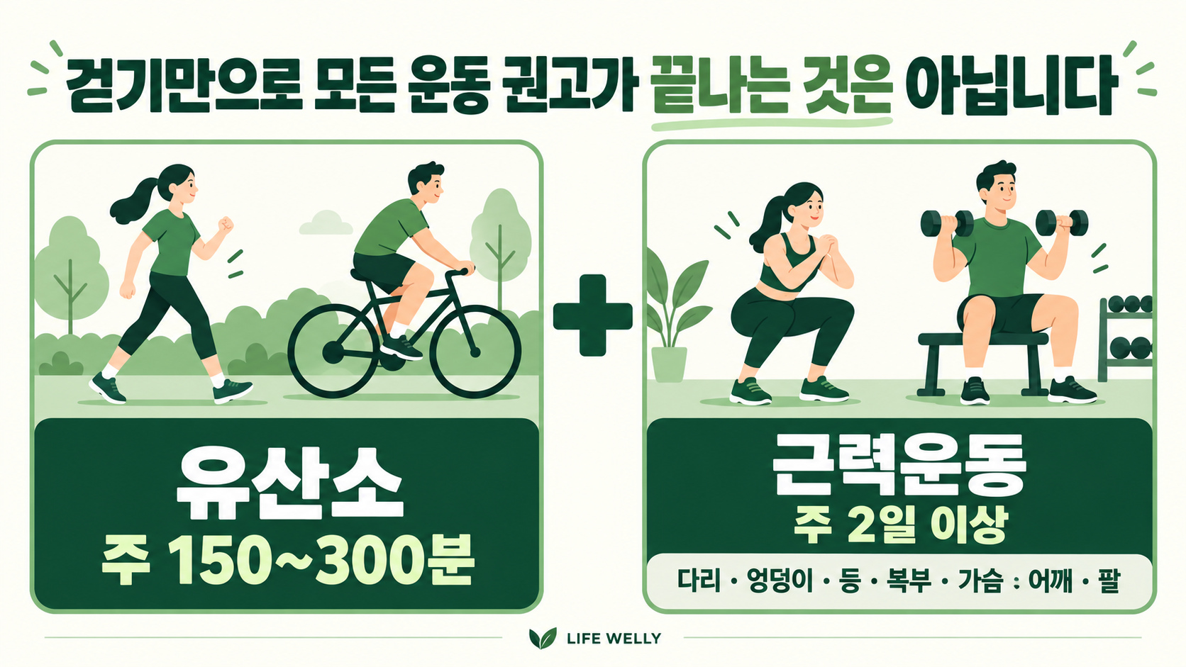 유산소 운동 주 150~300분 근력운동 주 2일 이상 주요 근육군 운동